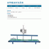 皮帶輸送縫包系統(tǒng)